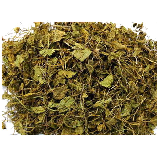 Dried Brahmi, Packaging Type: Plastic Bag, Packaging Size: 40 Kg
