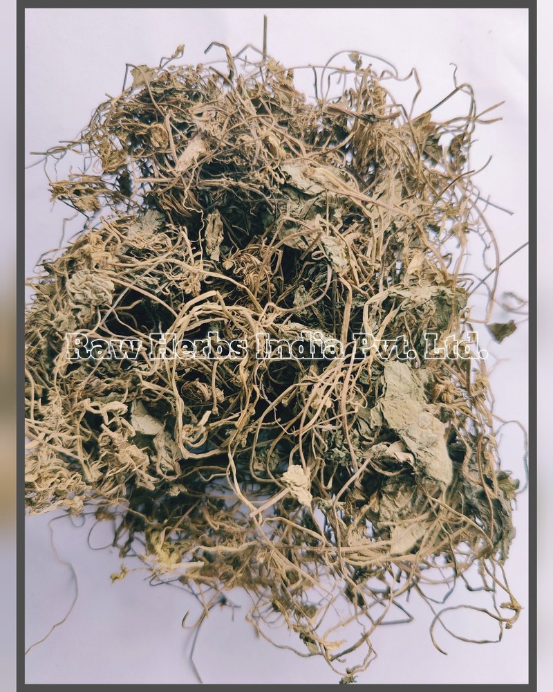 Centella asiatica BRAHMI - GOTU KOLA - MANDUKPARNI, Packaging Type: Plastic Bag
