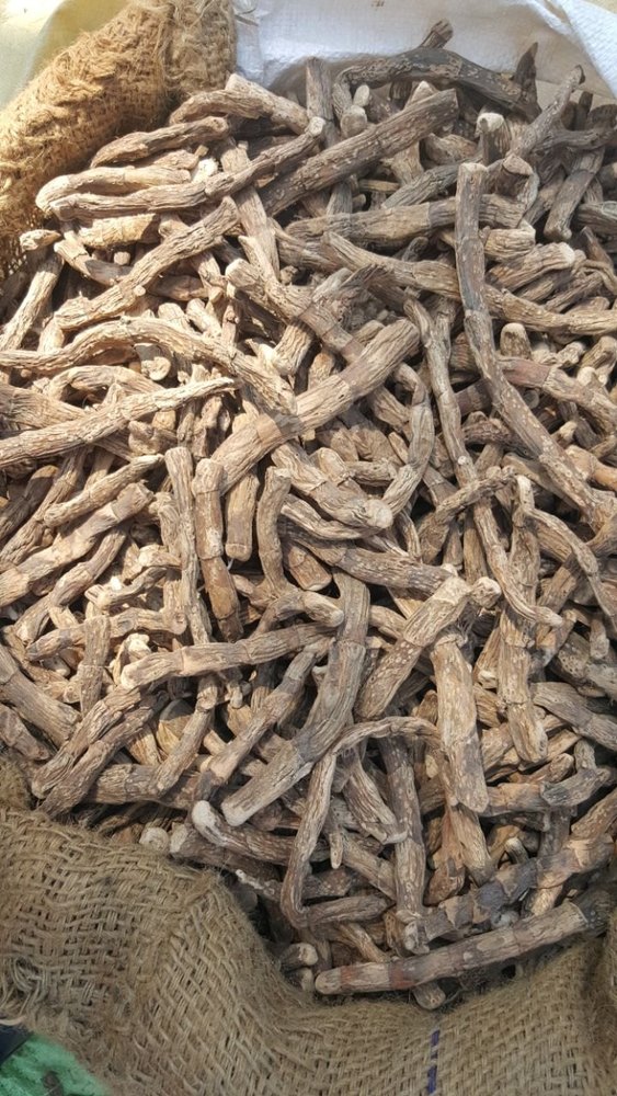 Brown Acorus Calamus