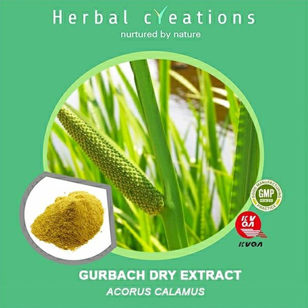 Powder Gurbach Dry Extract Acorus Calamus, Packaging Type: HDPE Drum