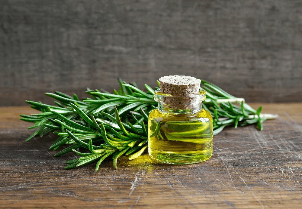 Calamus Oil (Acorus Calamus)