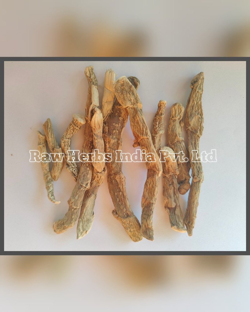 GUDBACH - SWEET FLAG ROOT - ACORUS CALAMUS, Packaging Type: Plastic Bag