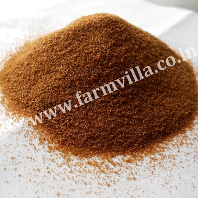 Instant Chicory Powder, Pack Size: 25 kg, Packaging Size: 20 kg