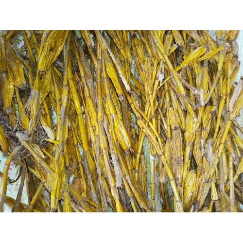 Green Jivanti Roots - Leptadenia Reticulata