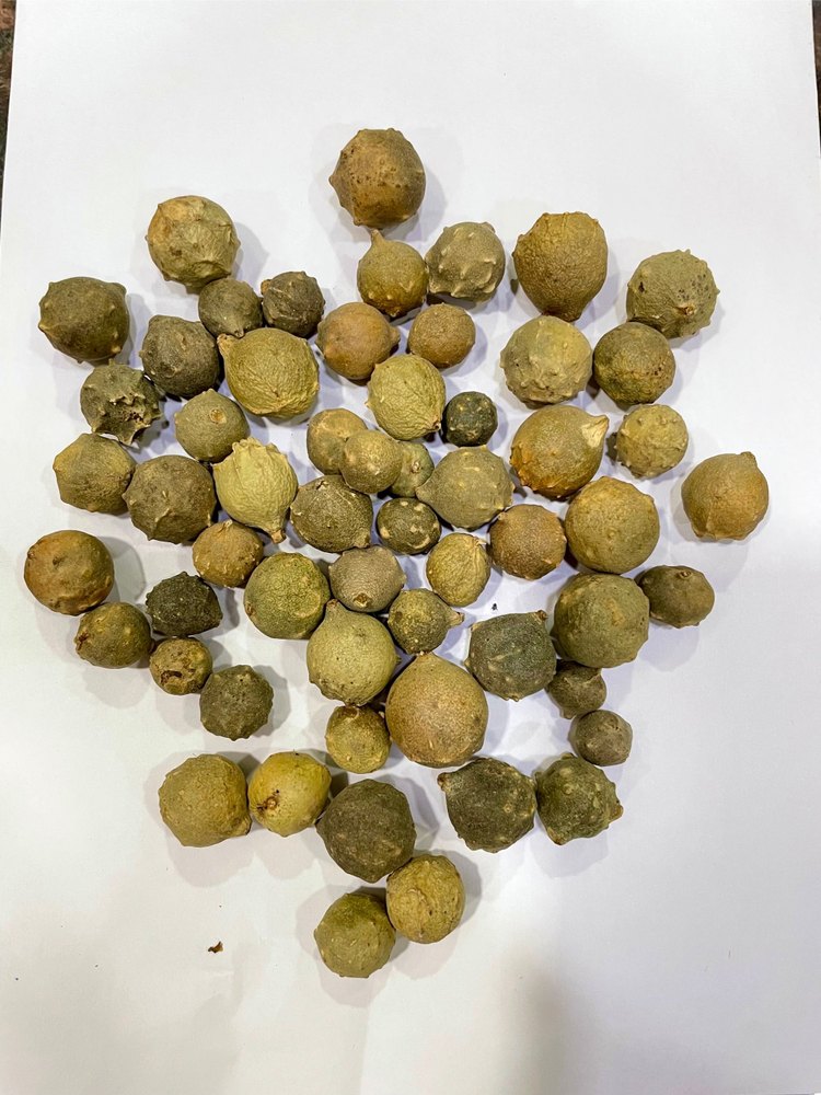 Dry Green Majuphal (Gallnut), Packaging Size: 50 Kg