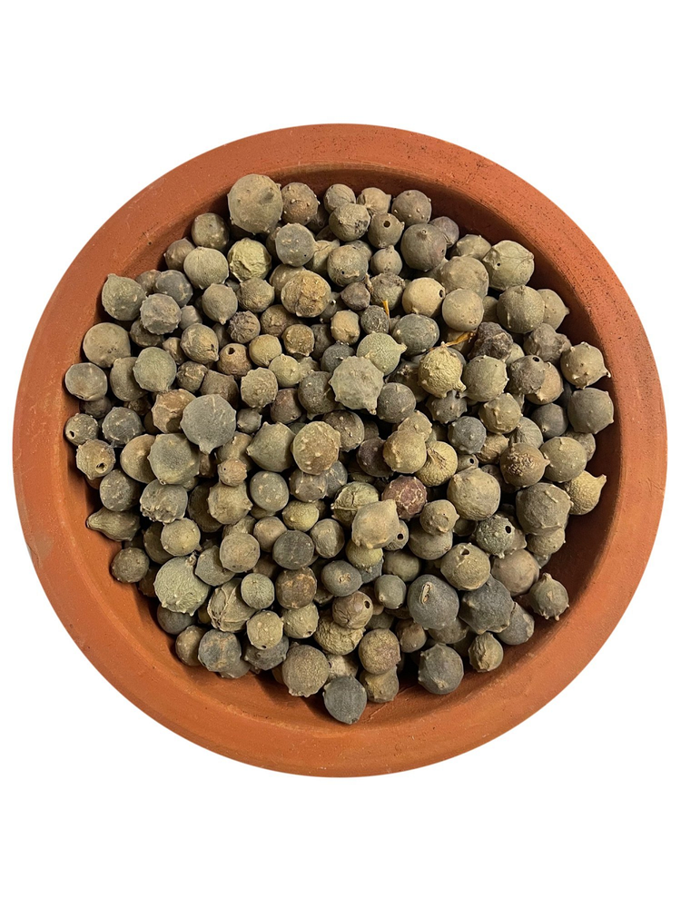 Quercus infectoria Dry Green Majuphal, Packaging Type: Loose