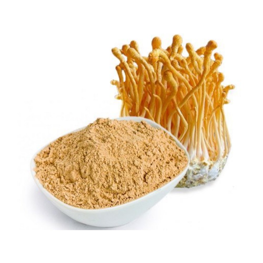 Light Orange Cordyceps Militaris Powder, Packaging Type: Packet, Packaging Size: 100 Gm