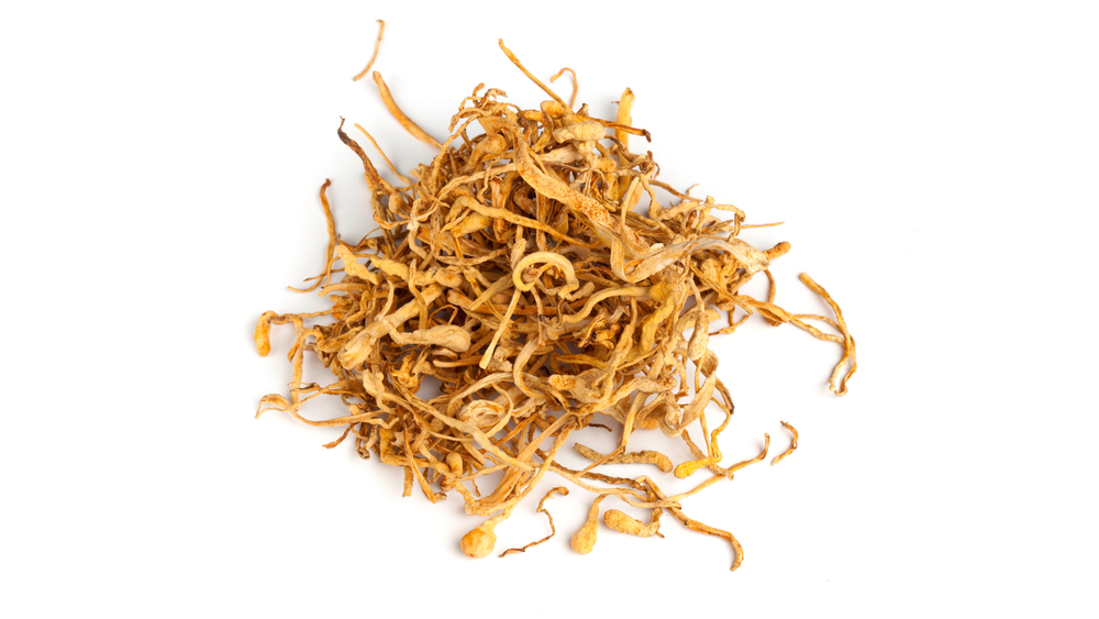 Brown Dried Cordyceps Militaris, Packaging Type: Packet, Packaging Size: 1kg