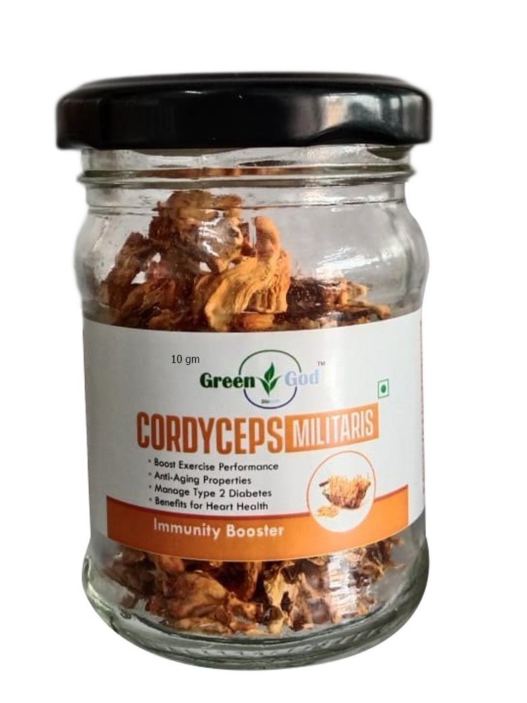 Dry Greengod Cordyceps Militaris, Packaging Type: Jar, Packaging Size: 10 Gram