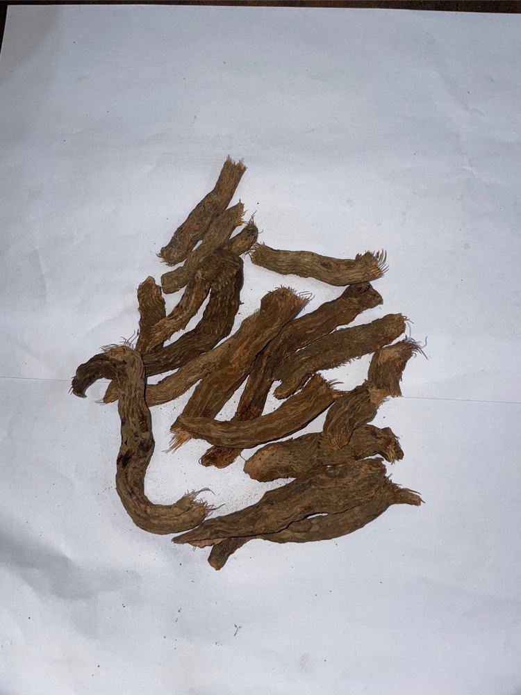 Homalomena Aromatica Schott Dry Sugandh Mantri Root, Packaging Type: Plastic, Packaging Size: 50 Kg