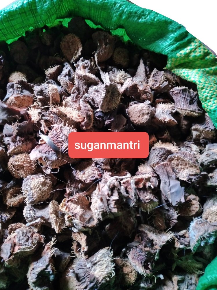 Dry Sugandh Mantri Root, For Medicinal