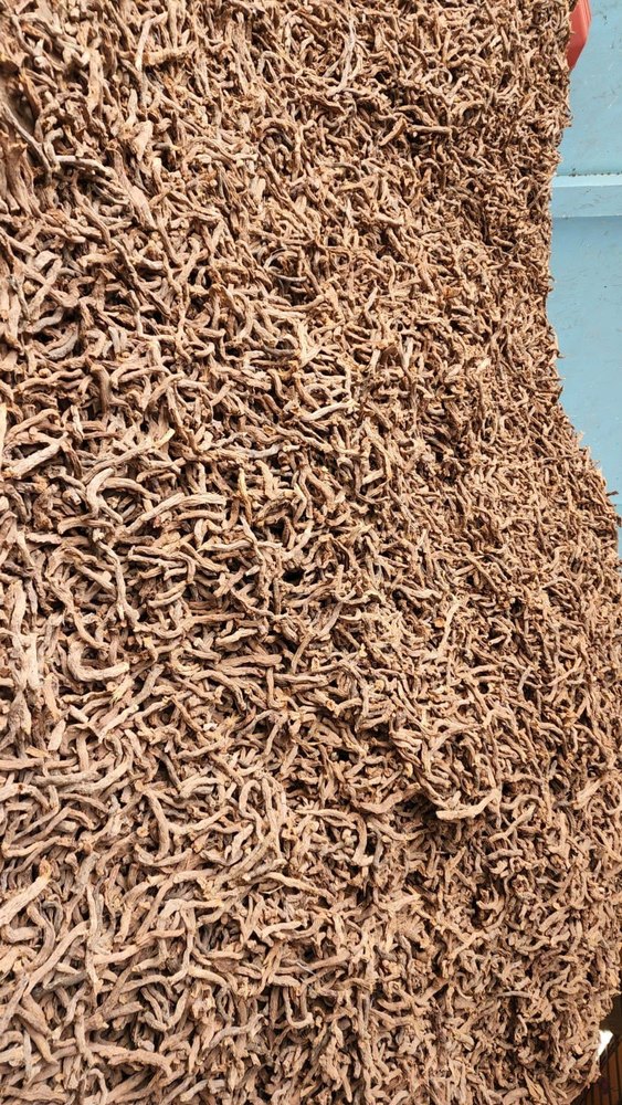 Dry Brown Homalomena / Sugandh Mantri, Packaging Type: Plastic, Packaging Size: 50 Kgs