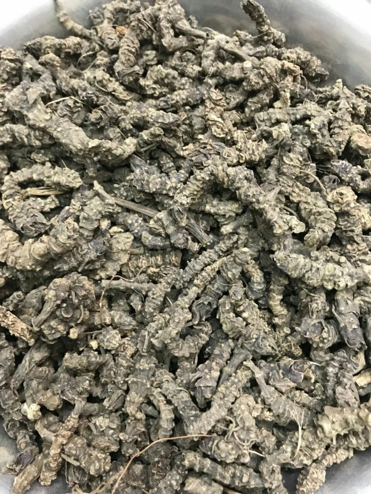 Natural Sugandh Bala Dry Root