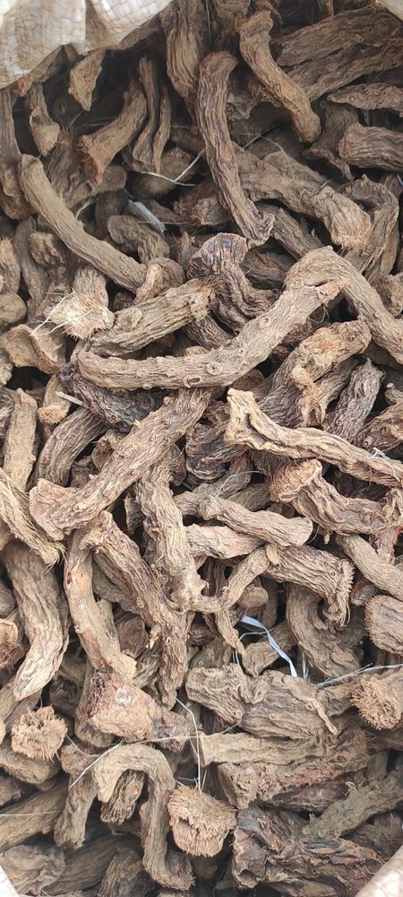 Homalomena Aromatica Brown Dry Sugandh Mantri Root, For Medicinal, Packaging Type: Loose