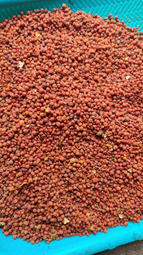 Malkangni Seed, Grade Standard: Medicine Grade, Packaging Size: 25kg