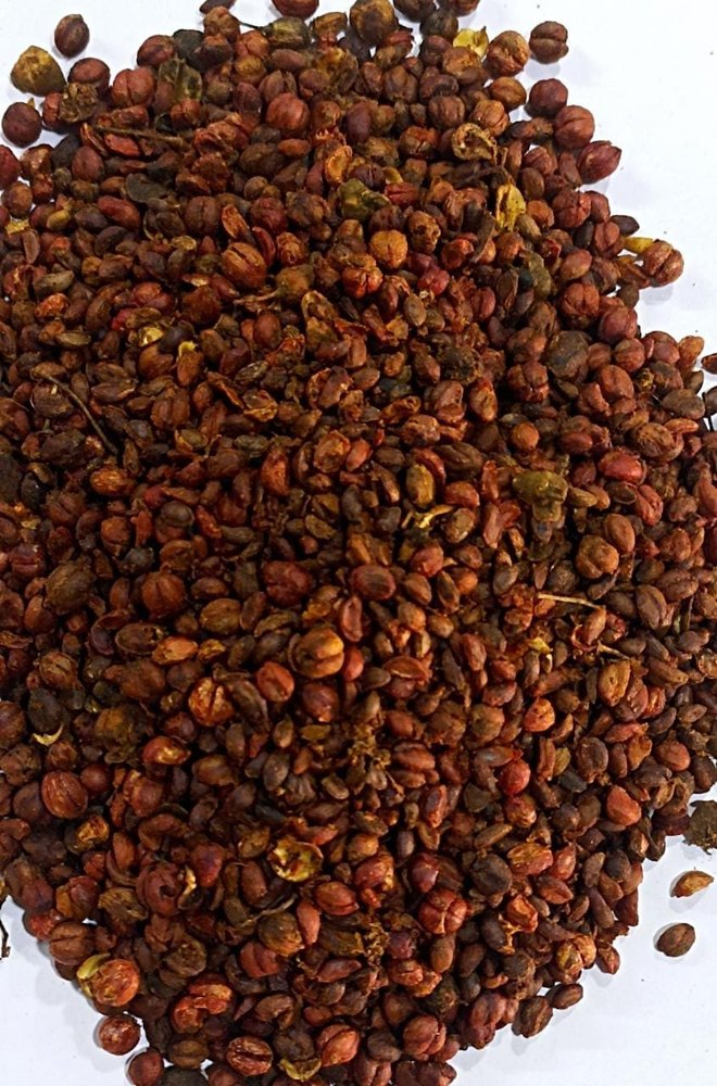 Red Natural Malkangni Seed, For Farming, Packaging Type: Loose