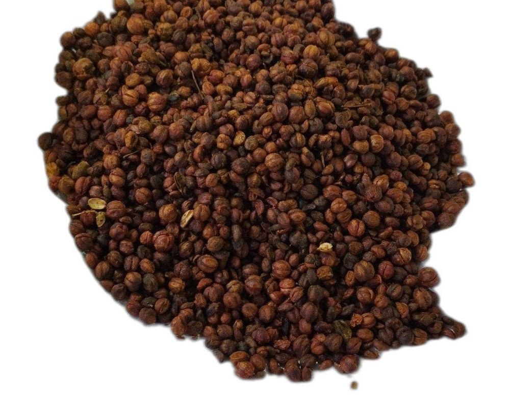 Natural Celastrus Paniculatus Organic Malkangni Herbs, Packaging Type: Loose