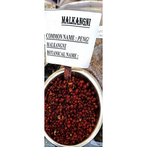 Dried Malkangni, Grade Standard: Bio-Tech Grade