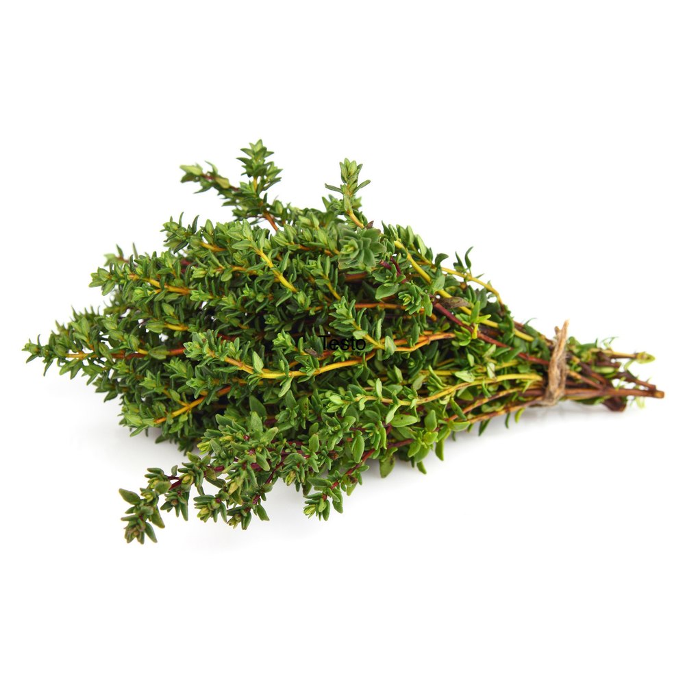 Thyme Fresh, 5 Kg