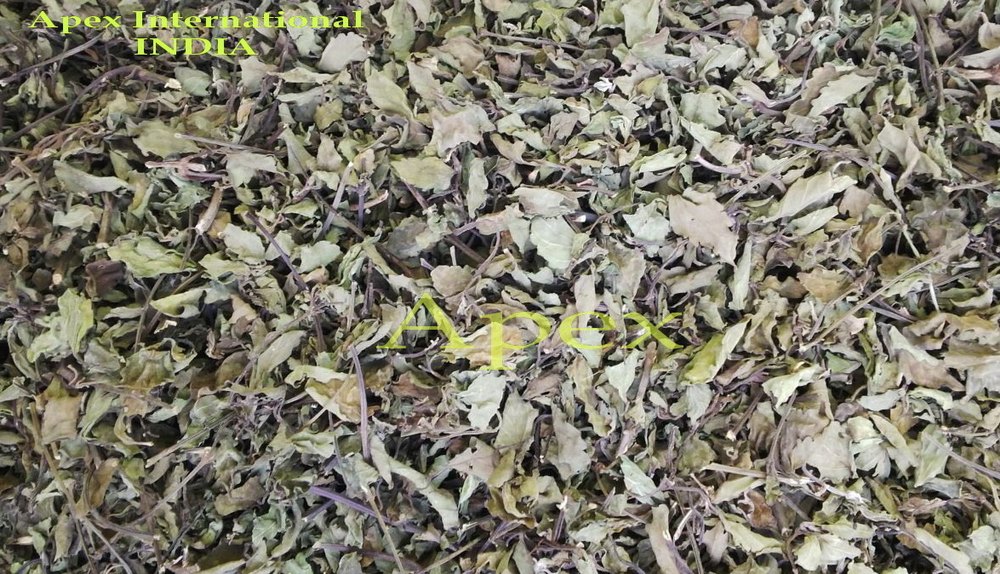 Apex Green Passiflora Incarnata Leaves, Packaging Size: 25 Kg Bag