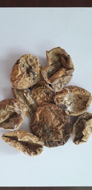 A Grade Dry Passiflora Edulis, Packaging Type: Plastic Bag