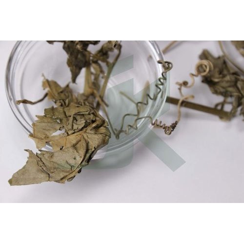 Passiflora Herb, Packaging Type: PP Bag, Packaging Size: 25 Kg