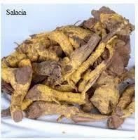 Salacia Oblonga (ind & Skl)