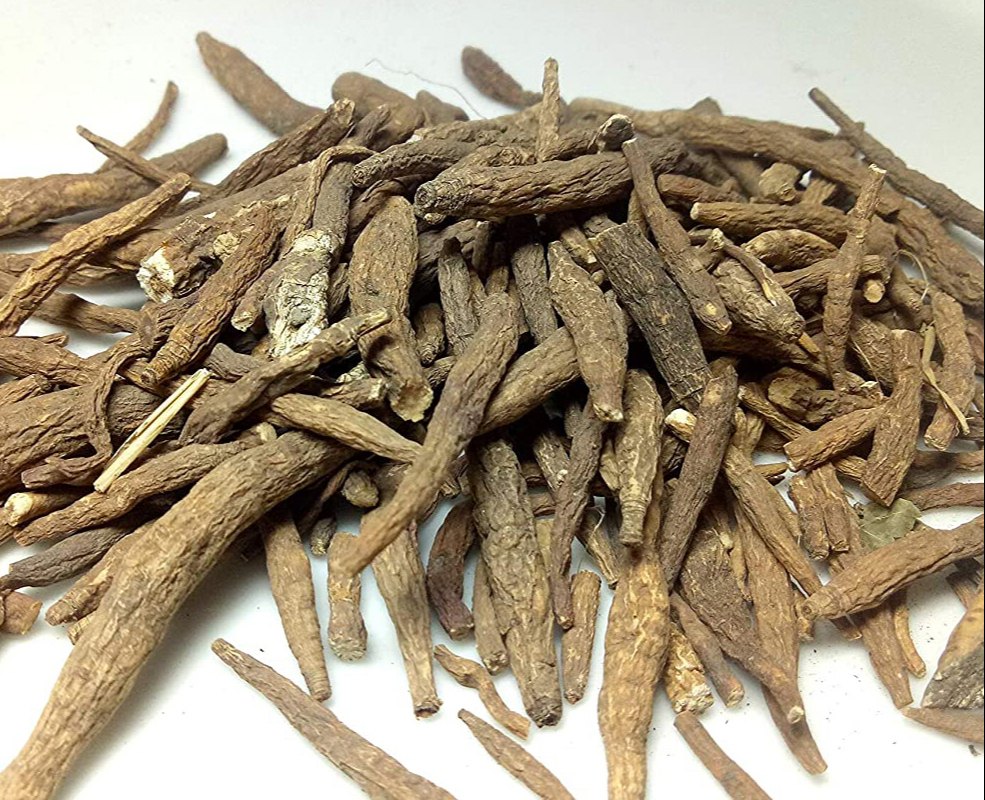 Ativisha Atis Aconitum Heterophyllum root