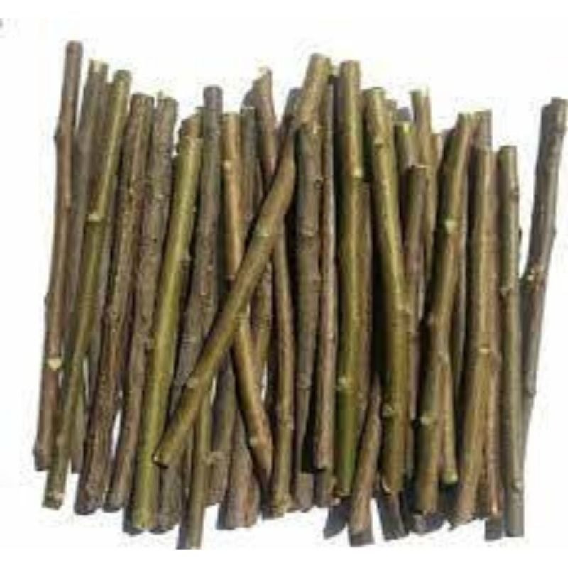 Green Neem Stick Twig, Packaging Type: Bag