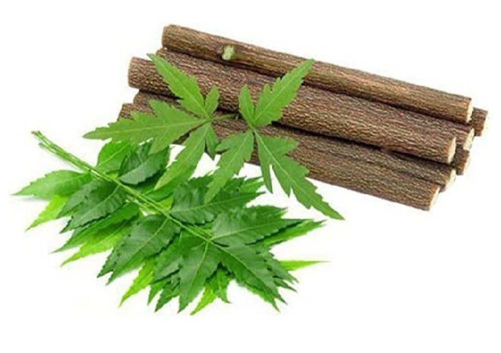 Brown Organic Neem Datun