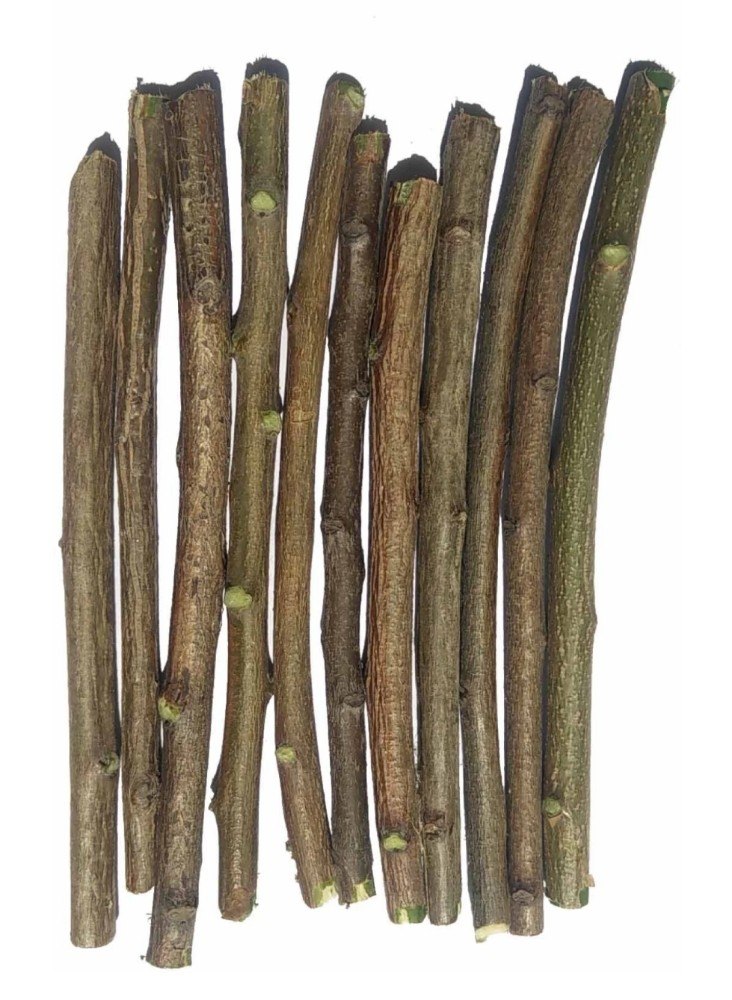 Green India Ayurvedic mouth freshener Neem Stick, Whole Plant, Packaging Size: 20_1000