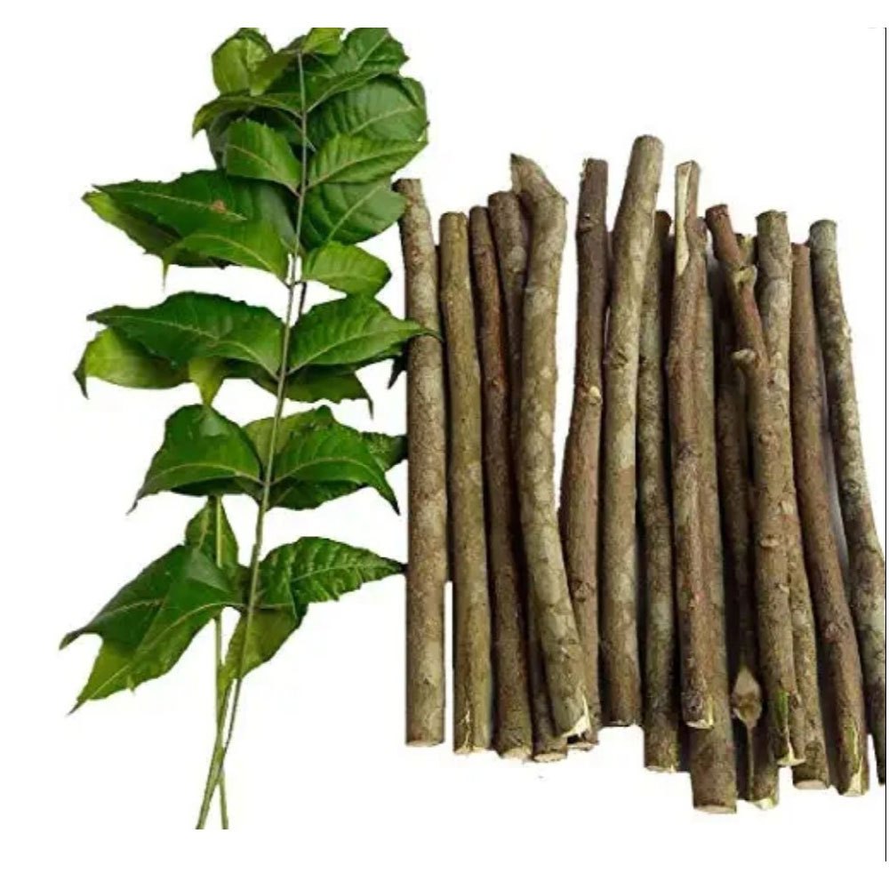 Neem Datun Stick