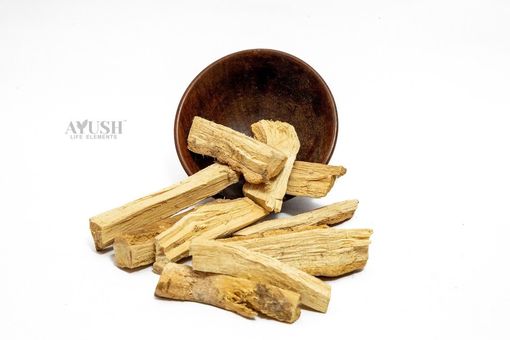 Kutaj - Kurchi - Kuda - Holarrhena Antidysenterica - Kutaj Bark