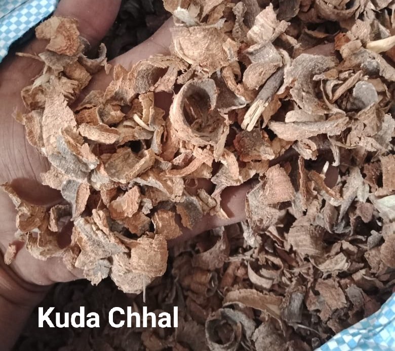 Kuda Chhal, Holarrhena Antidysenterica, Packaging Size: 20-40kg