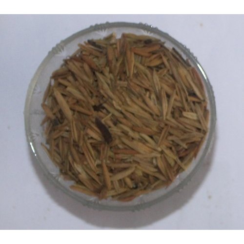 Herbal Natural Indrajav Seeds, For Curing Diabetes, Packaging Size: 5 Kg