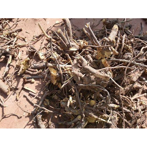 Laxmi Traders Organic Chitrakmool Roots