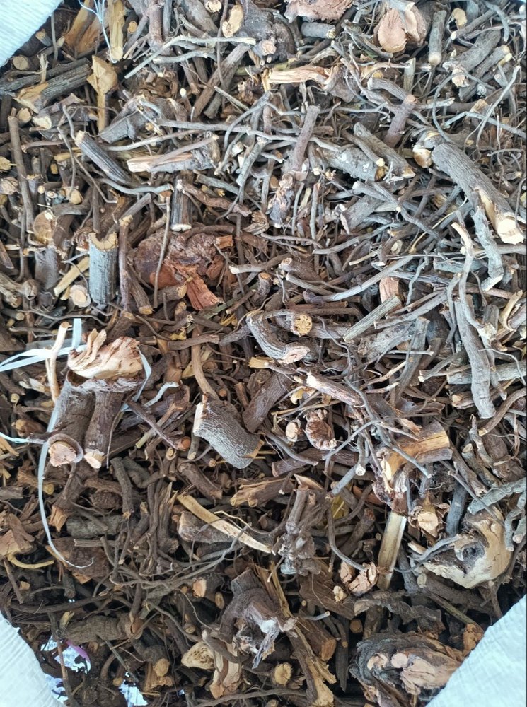 Plumbago Zeylanica Brown Organic Chitramoola Roots, Packaging Type: Loose