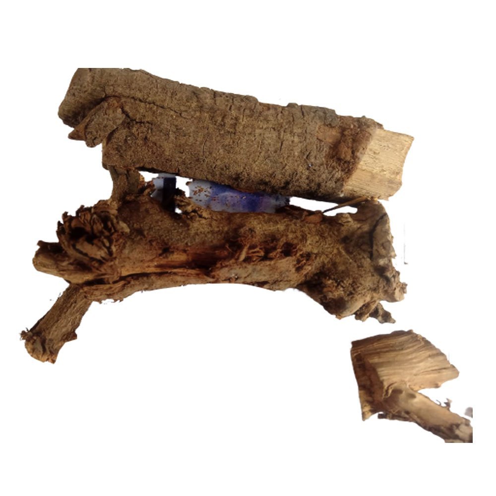 Plumbago Zeylanica Brown Dried Chitrak Mool Leadwort, Packaging Type: Loose