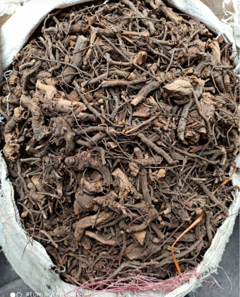 Chitrak Mool, 25 kg