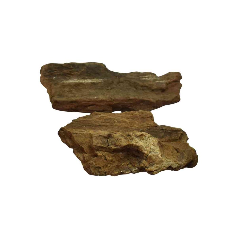 Kachnar Bark, Packaging Type: HDPE Bags