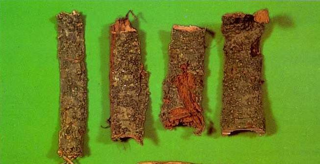 Kanchanar Bark Bauhinia Variegta