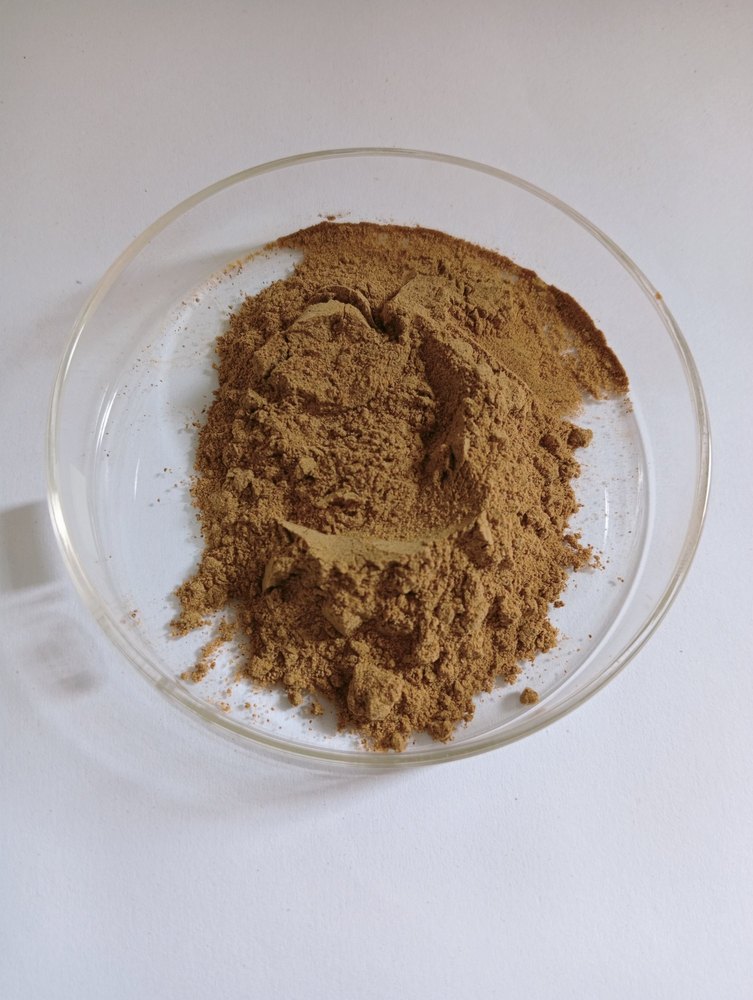Brown Kali Musli Dry Extract 20% (Curculigo orchioides), Packaging Type: Loose