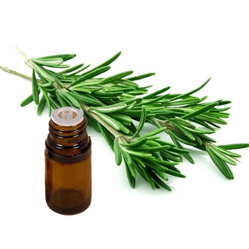Natural Valerian Oil
