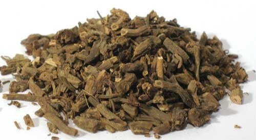 Valerian Root (Valeriana officinalis)