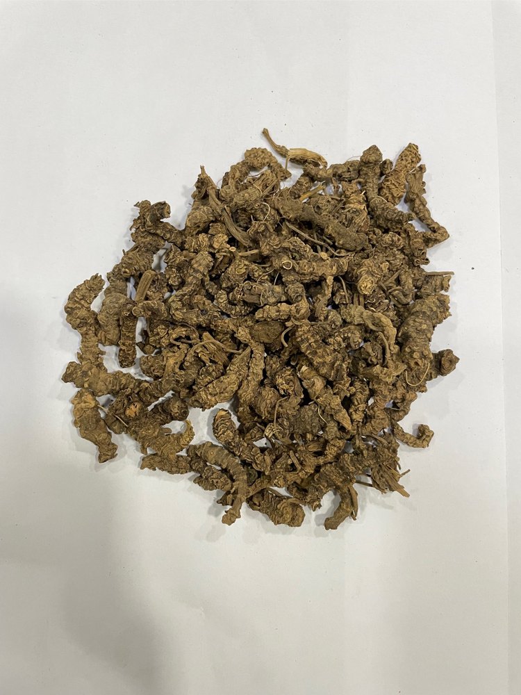 Valeriana Officinalis Brown Organic Valerian Root (Tagarganth), Packaging Type: Loose, Packaging Size: 50 Kg