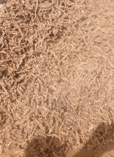 Valerian Root