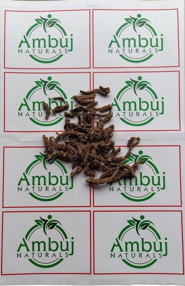 Terminalia Chebula Black Valerian, Packaging Type: Bag, Packaging Size: kg