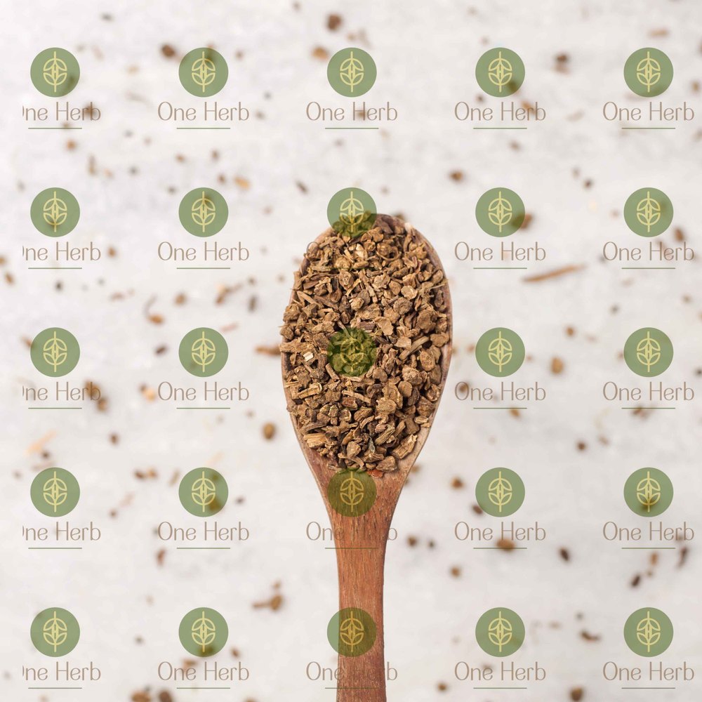 Valeriana officinalis Valerian Root