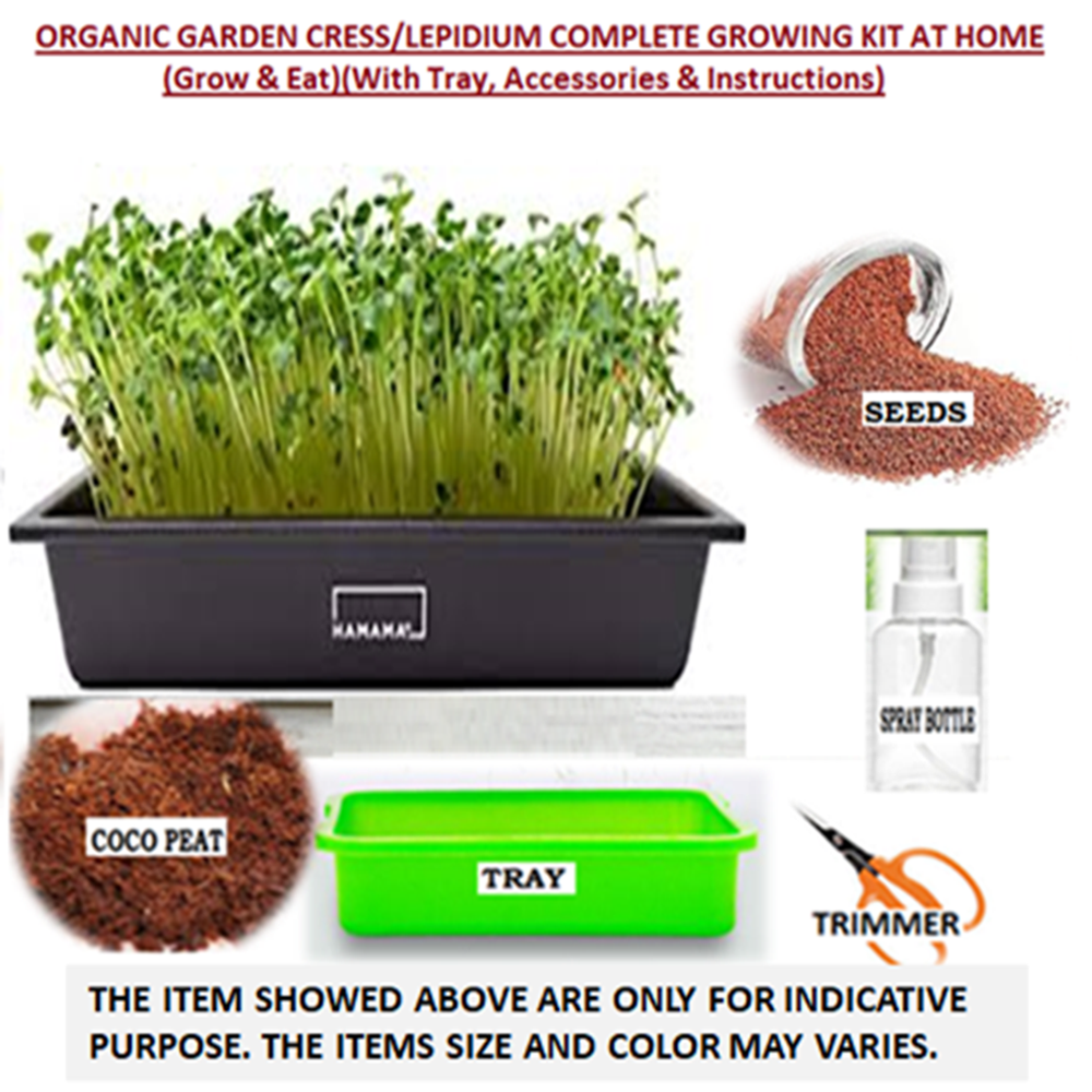 Organic Garden Cress/Lepidium Complete Microgreens Growing Kit At Home, Packet