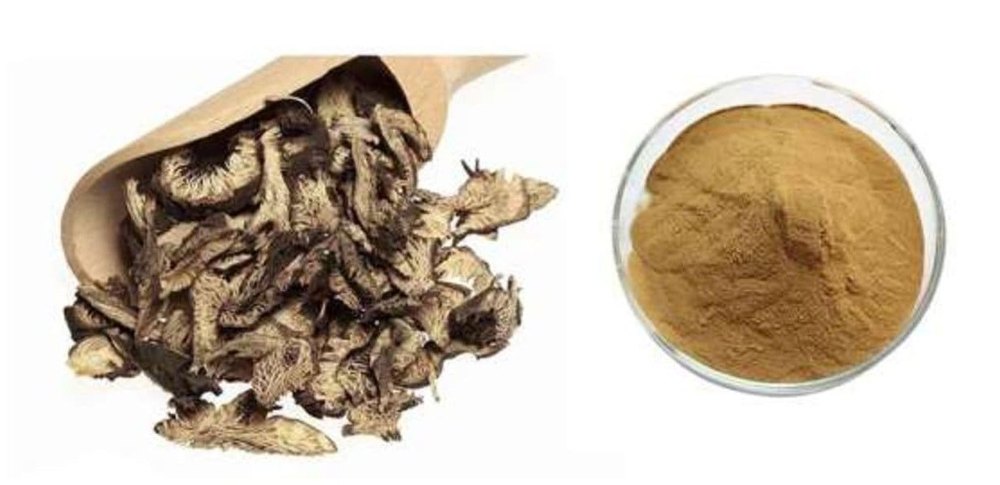 Actaea racemosa Black Cohos Extracts, Packaging Type: Packet